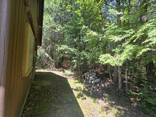 1987 N Galbraith Rd, Mio, MI 48647 - view of yard
