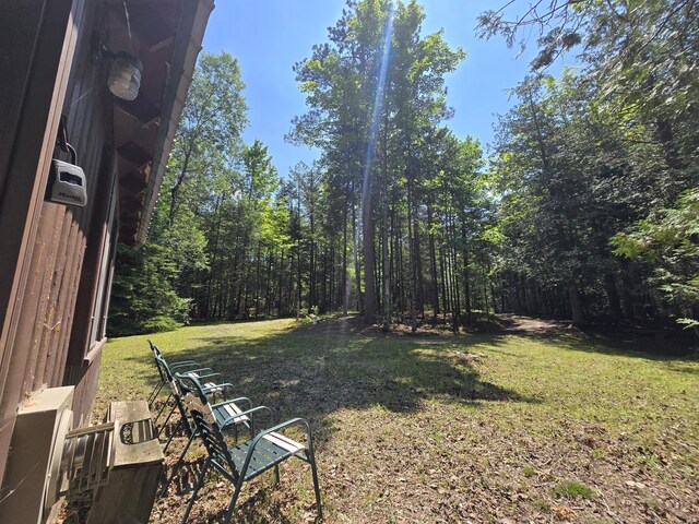 1987 N Galbraith Rd, Mio, MI 48647 - view of green lawn