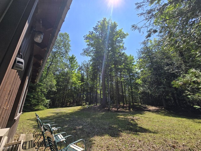 1987 N Galbraith Rd, Mio, MI 48647 - view of grassy yard with a forest view