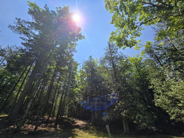1987 N Galbraith Rd, Mio, MI 48647 - view of yard