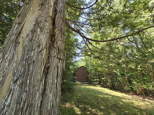 1987 N Galbraith Rd, Mio, MI 48647 - view of yard with a storage unit