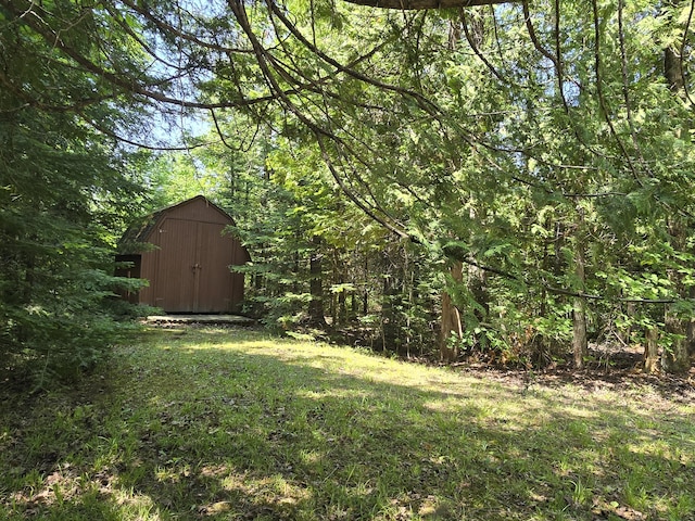 1987 N Galbraith Rd, Mio, MI 48647 - view of grassy yard featuring a shed and a view of trees