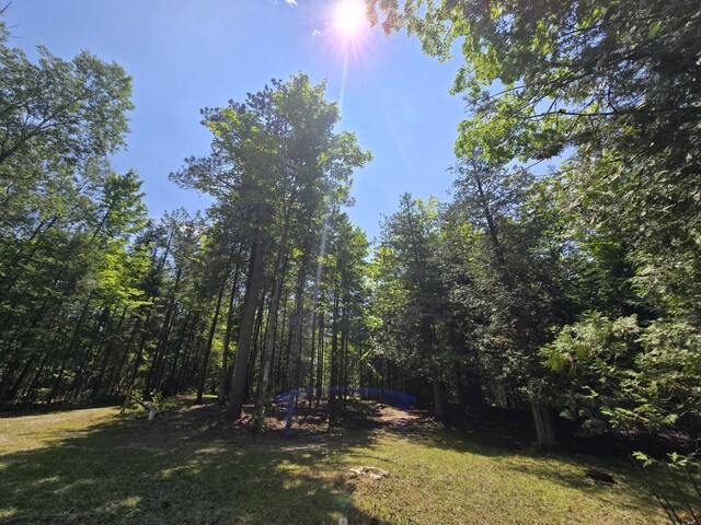 1987 N Galbraith Rd, Mio, MI 48647 - view of green lawn with a view of trees