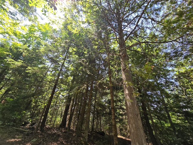 1987 N Galbraith Rd, Mio, MI 48647 - view of nature