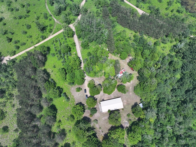 8361 Brookfield Dr, Elmira, MI 49730 - aerial view of property and surrounding area
