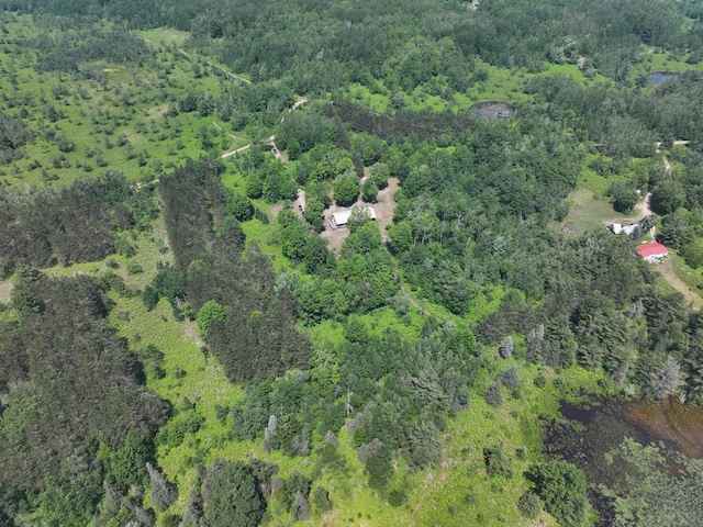 8361 Brookfield Dr, Elmira, MI 49730 - view of property location with a forest