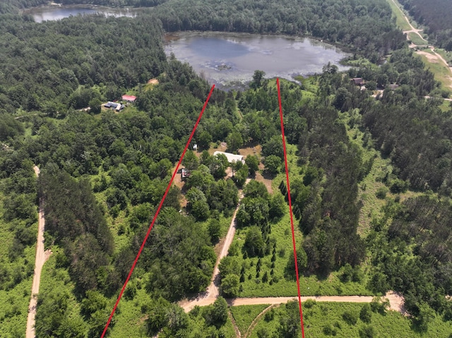 8361 Brookfield Dr, Elmira, MI 49730 - aerial view of property's location with a large body of water and property boundaries highlighted