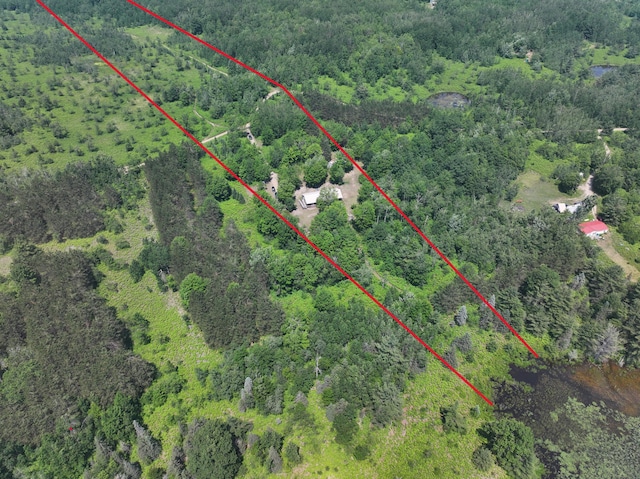 8361 Brookfield Dr, Elmira, MI 49730 - aerial view of property's location with a forest and property parcel outlined