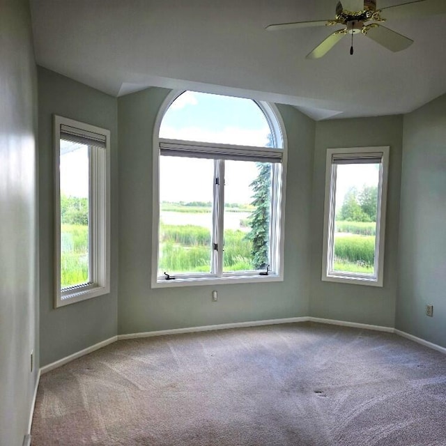 176 Long Rapids Rd, Alpena, MI 49707 - spare room with carpet flooring, plenty of natural light, and a ceiling fan