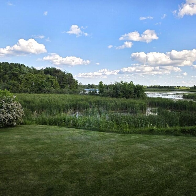 176 Long Rapids Rd, Alpena, MI 49707 - view of grassy yard featuring a water view