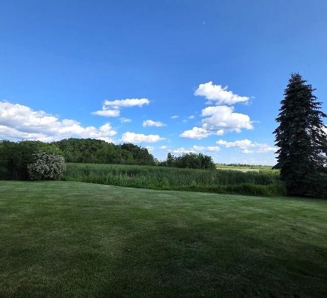 176 Long Rapids Rd, Alpena, MI 49707 - view of green lawn with a view of countryside