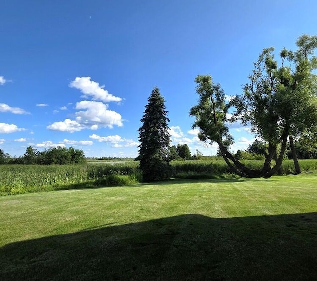 176 Long Rapids Rd, Alpena, MI 49707 - view of green lawn