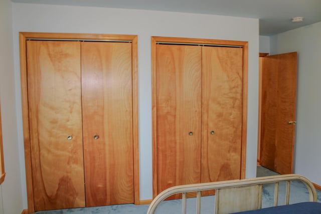 11920 W Shore Dr, Houghton Lake, MI 48629 - bedroom with two closets and carpet flooring