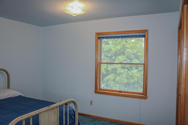 11920 W Shore Dr, Houghton Lake, MI 48629 - carpeted bedroom featuring baseboards