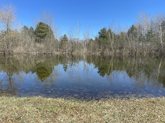203 S Case St, Marion, MI 49665 - water view featuring a forest