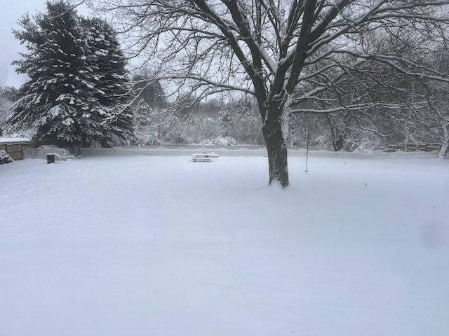 203 S Case St, Marion, MI 49665 - view of yard layered in snow