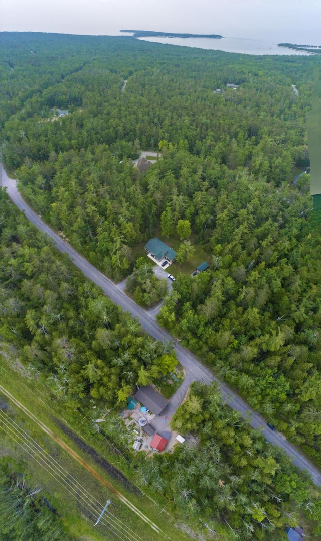 7240 Belfair Dr, Presque Isle, MI 49777 - photo 54