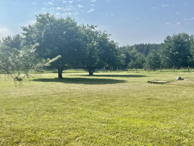 7125 S Military Rd, Grayling, MI 49738 - view of yard with a wooded view and a rural view