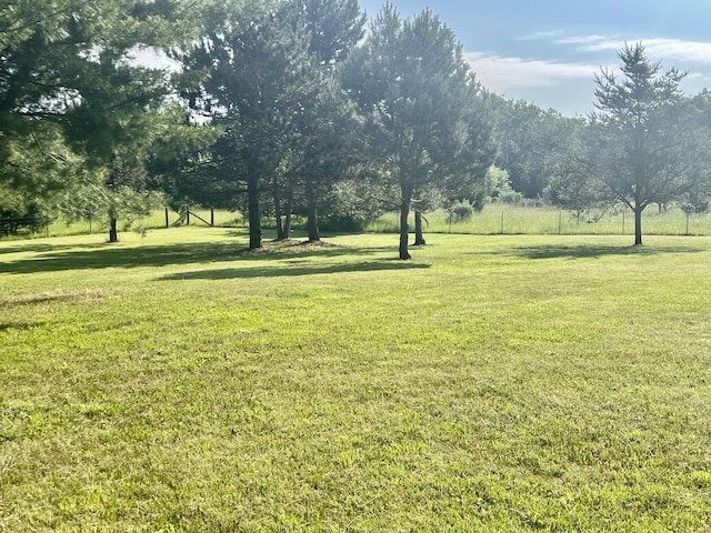 7125 S Military Rd, Grayling, MI 49738 - view of green lawn