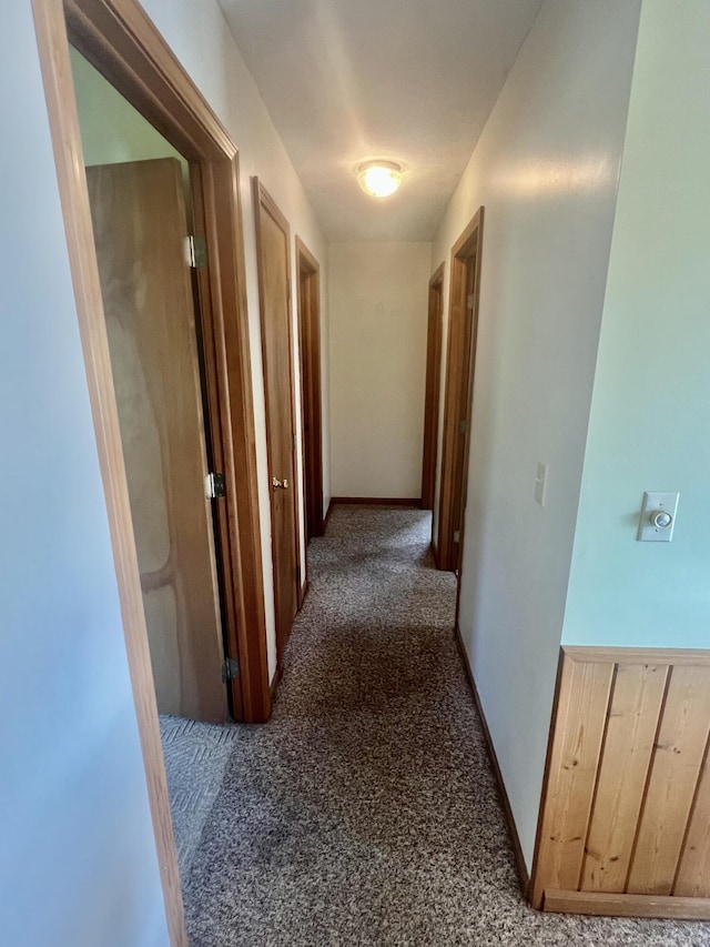 7125 S Military Rd, Grayling, MI 49738 - hallway featuring carpet floors