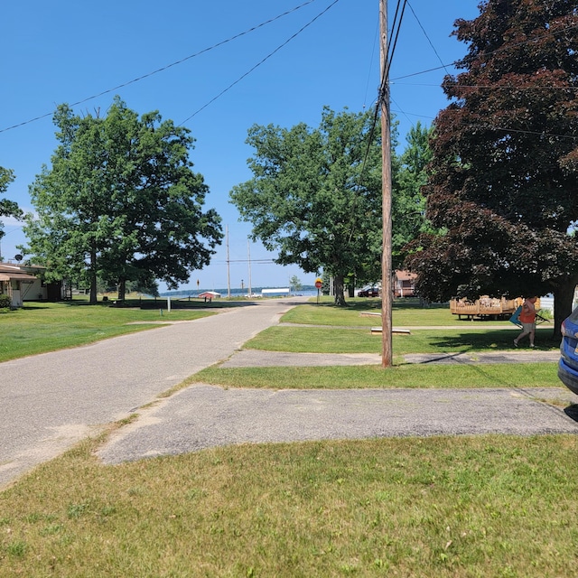 9507 Monroe Rd, Saint Helen, MI 48656 - photo 11