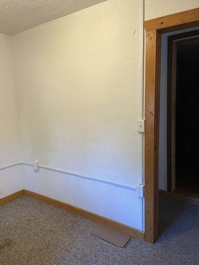 10279 N Sherman Rd, Frederic, MI 49733 - spare room with carpet floors and a textured ceiling