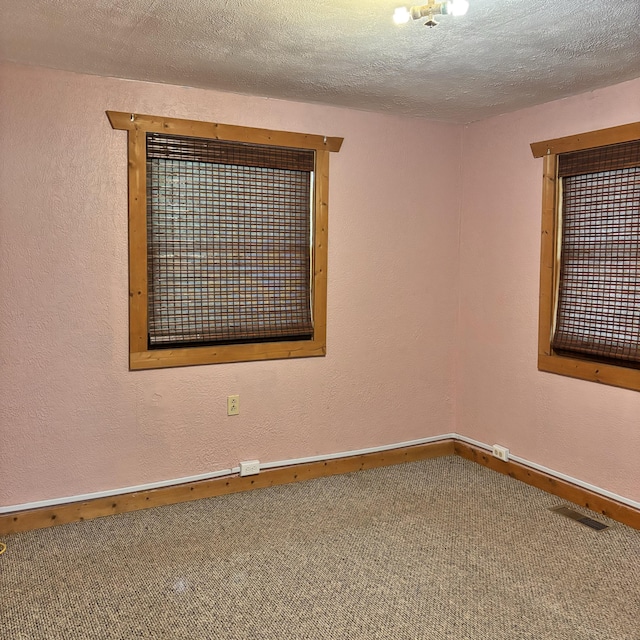 10279 N Sherman Rd, Frederic, MI 49733 - carpeted empty room with baseboards and a textured ceiling