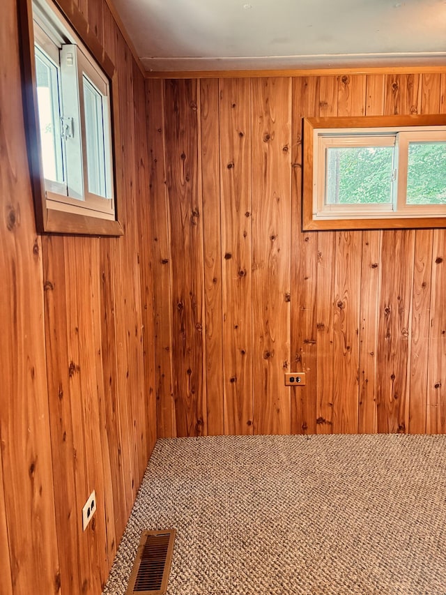10279 N Sherman Rd, Frederic, MI 49733 - unfurnished room with wooden walls
