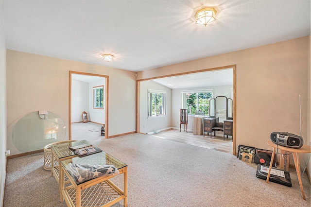 14375 S Straits Hwy, Wolverine, MI 49799 - photo 8