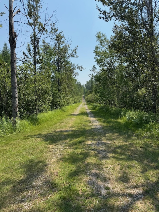 14375 S Straits Hwy, Wolverine, MI 49799 - photo 28