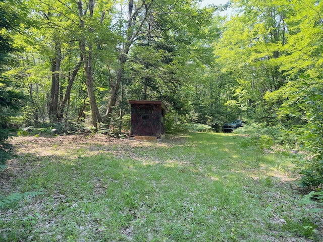 14375 S Straits Hwy, Wolverine, MI 49799 - photo 33
