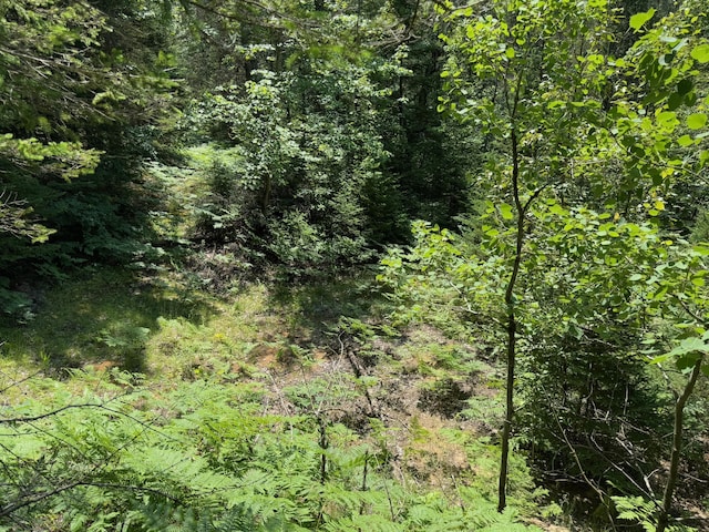14375 S Straits Hwy, Wolverine, MI 49799 - photo 35