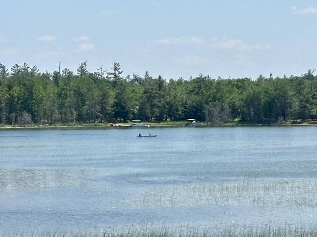 1950 Highbank Trl, Lewiston, MI 49756 - water view featuring a forest