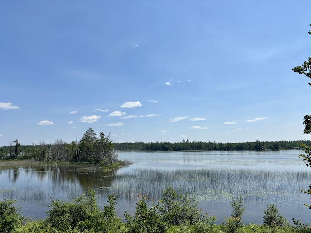 1950 Highbank Trl, Lewiston, MI 49756 - water view