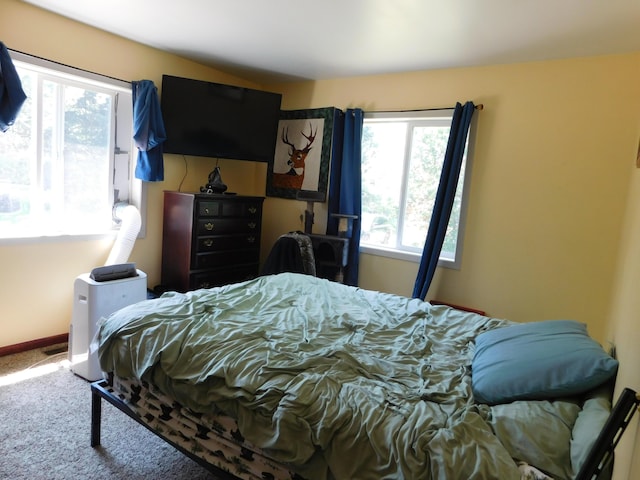 4616 Martin Dr, Frederic, MI 49733 - bedroom with multiple windows and carpet floors