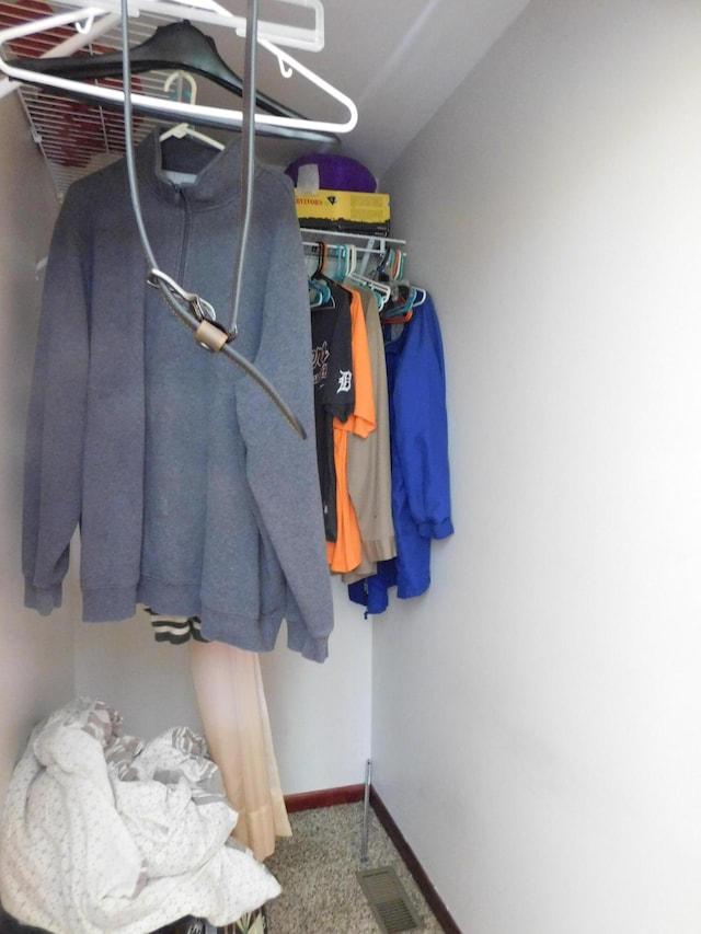 4616 Martin Dr, Frederic, MI 49733 - walk in closet featuring carpet floors