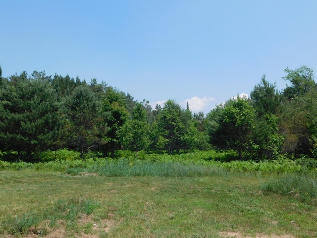 4616 Martin Dr, Frederic, MI 49733 - view of wooded area