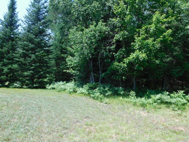 4616 Martin Dr, Frederic, MI 49733 - view of yard with a view of trees