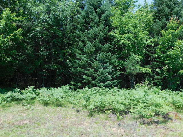 4616 Martin Dr, Frederic, MI 49733 - view of tree filled area