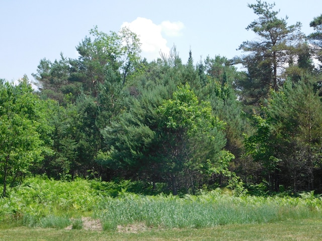 4616 Martin Dr, Frederic, MI 49733 - view of wooded area