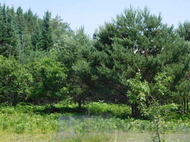 4616 Martin Dr, Frederic, MI 49733 - view of tree filled area