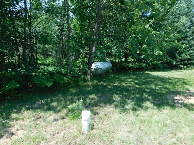 4616 Martin Dr, Frederic, MI 49733 - view of green lawn