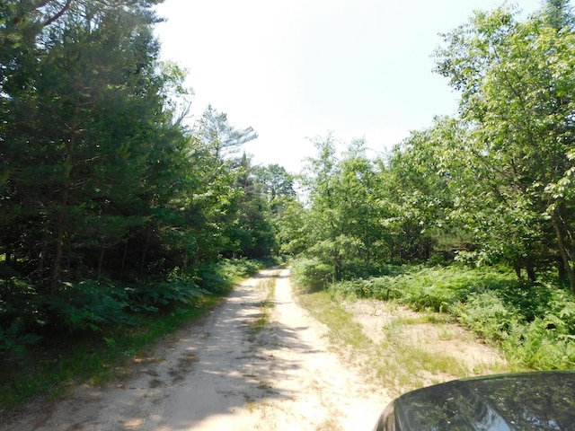 4616 Martin Dr, Frederic, MI 49733 - view of road featuring a view of trees