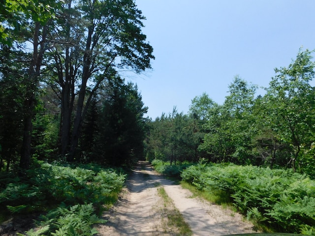4616 Martin Dr, Frederic, MI 49733 - view of road featuring a wooded view