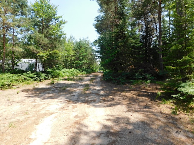 4616 Martin Dr, Frederic, MI 49733 - view of dirt / gravel road
