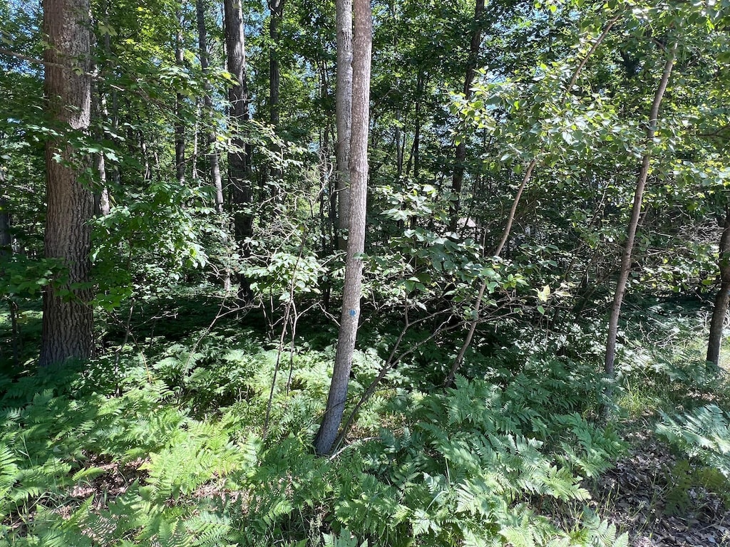 LOT37-39 Pingree St, Roscommon, MI 48653 - photo 1