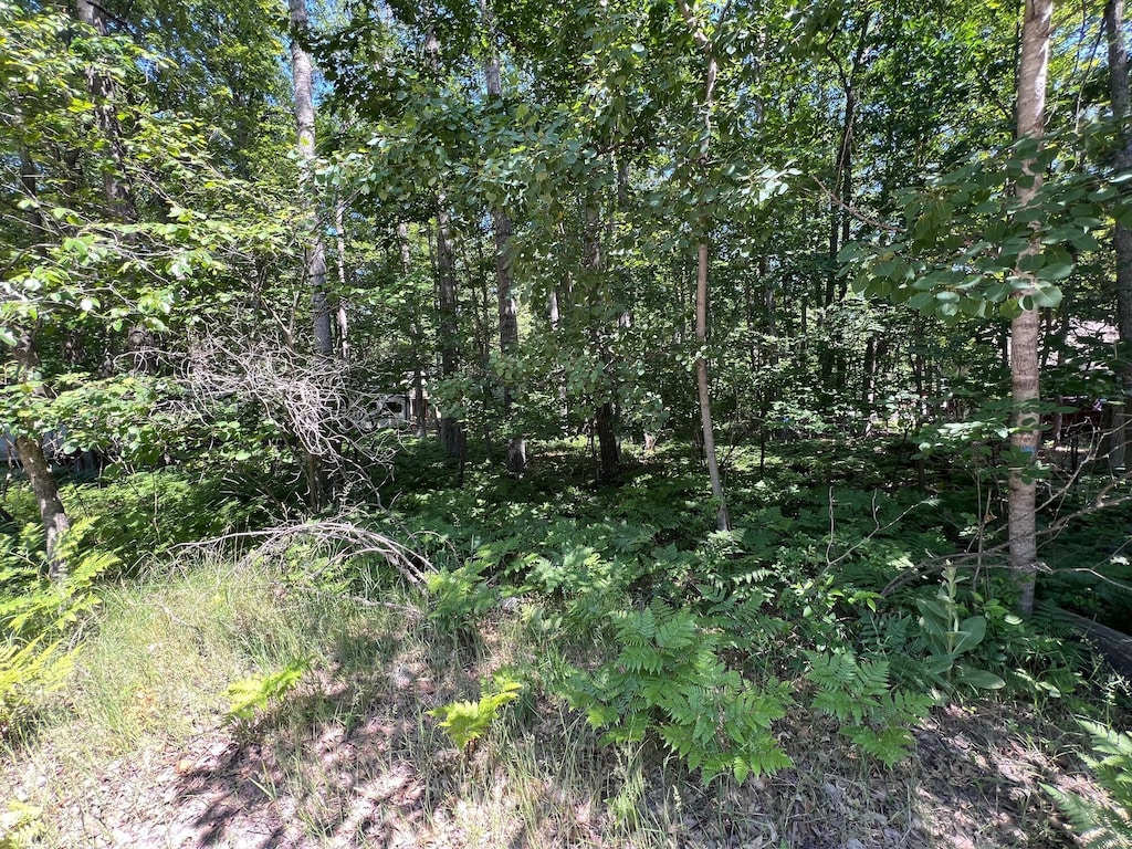 LOT37-39 Pingree St, Roscommon, MI 48653 - photo 3