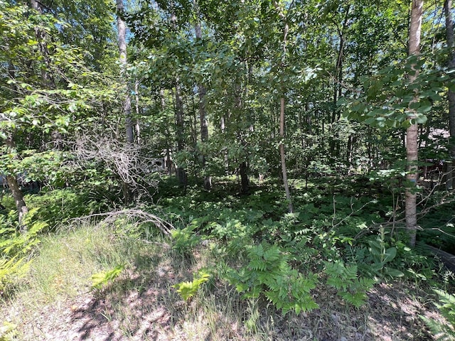 LOT37-39 Pingree St, Roscommon, MI 48653 - photo 3