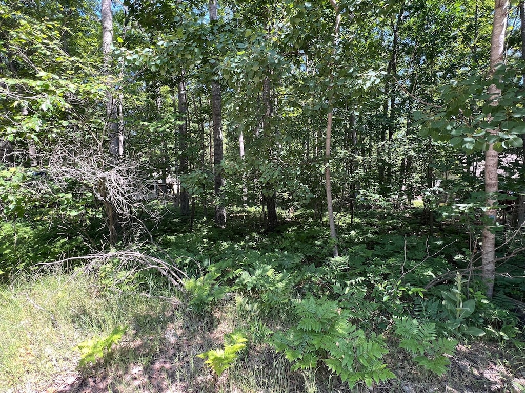 LOT37-39 Pingree St, Roscommon, MI 48653 - photo 4
