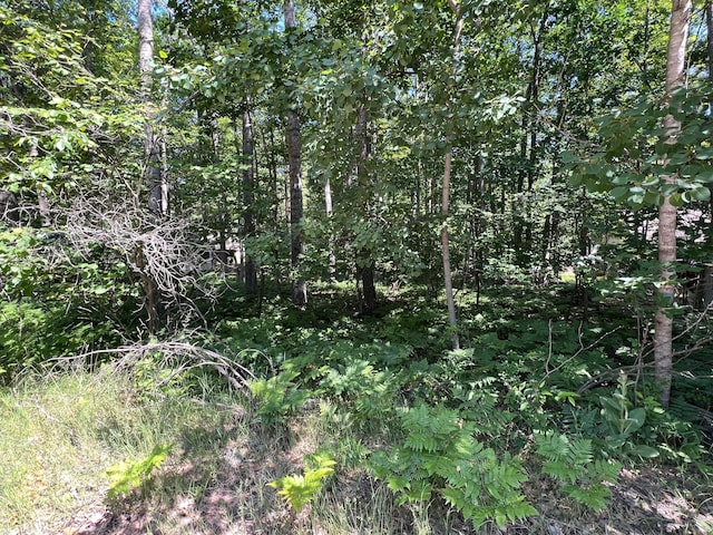 LOT37-39 Pingree St, Roscommon, MI 48653 - photo 4